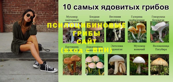 мет Белокуриха