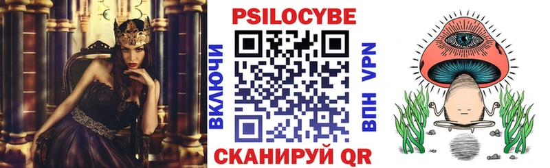 купить закладку  Воркута  Псилоцибиновые грибы мухоморы 