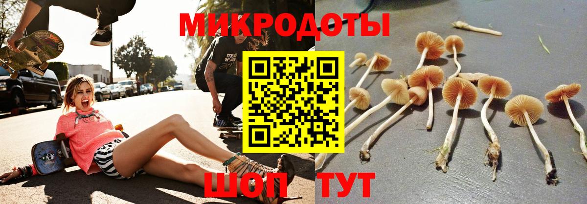 Воркута  Галлюциногенные грибы Psilocybine cubensis  Галлюциногенные грибы мицелий  Вход с VPN 