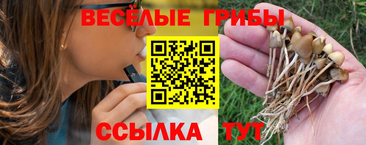 Псилоцибиновые грибы мицелий Воркута